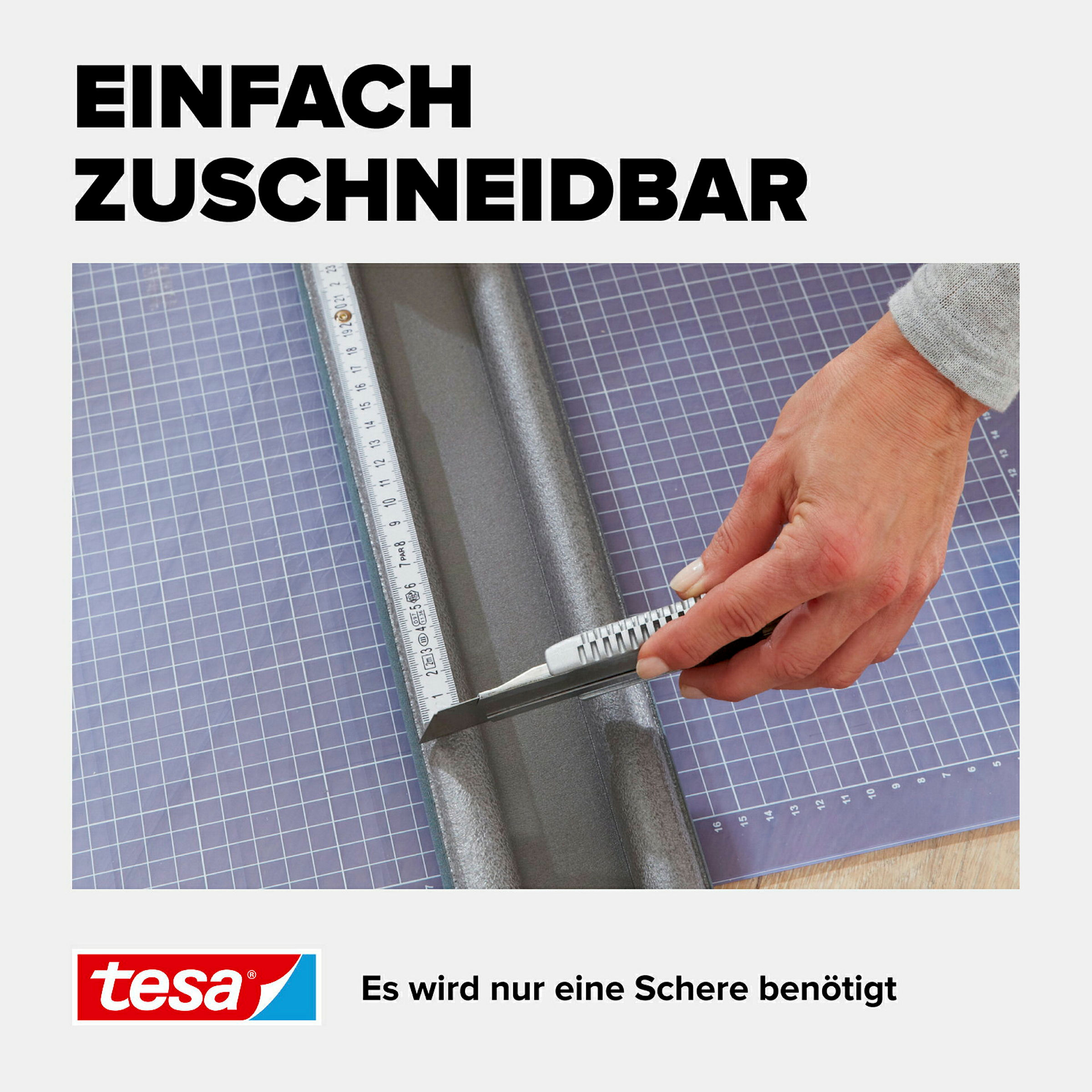 tesamoll®l® Türbodendoppeldichtung 0.95m x 22mm, grau