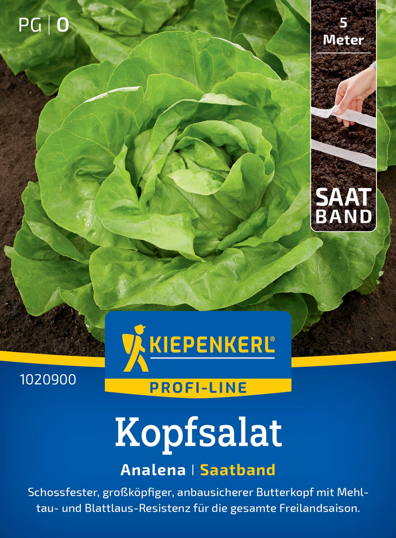 Kiepenkerl Kopfsalat Analena, Saatband