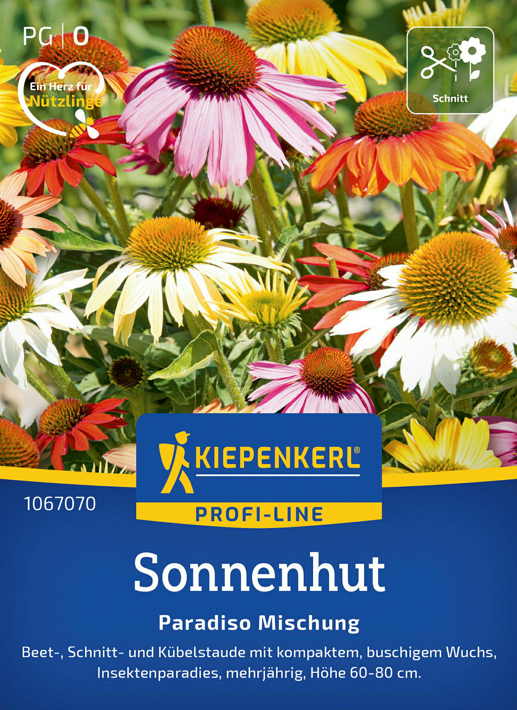 Kiepenkerl Sonnenhut Paradiso Mischung