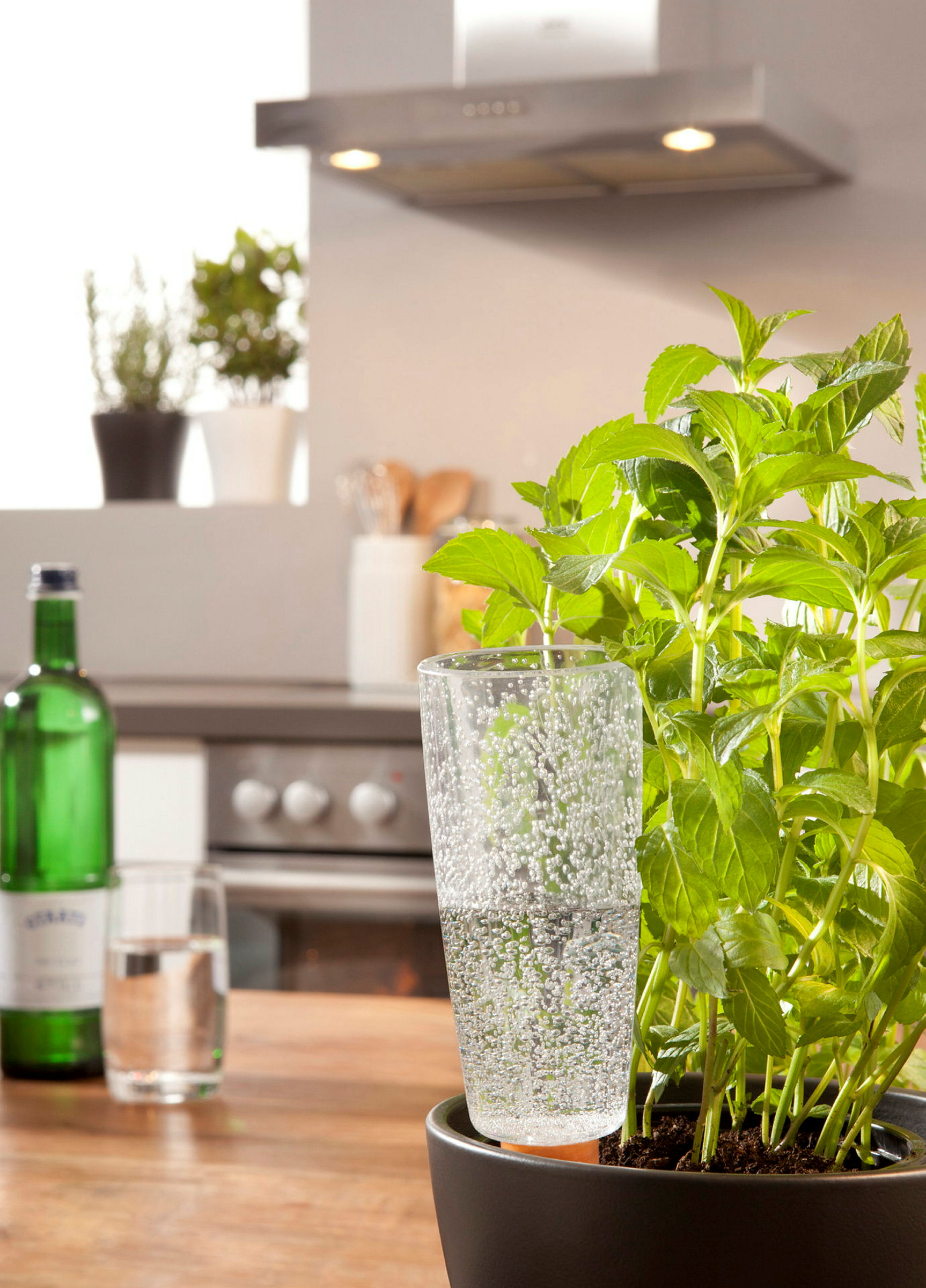 Scheurich Wasserspeicher 112/18 Copa M, Transparent-clear