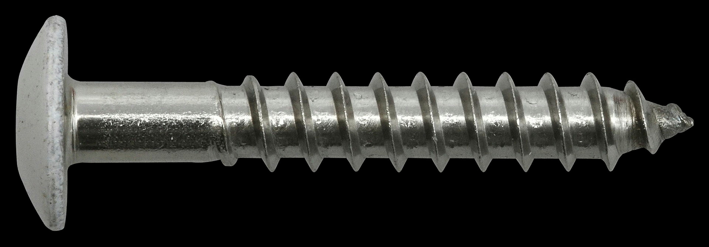 Fassadenschraube 5,5 x 45, A4, RAL 9010 weiß