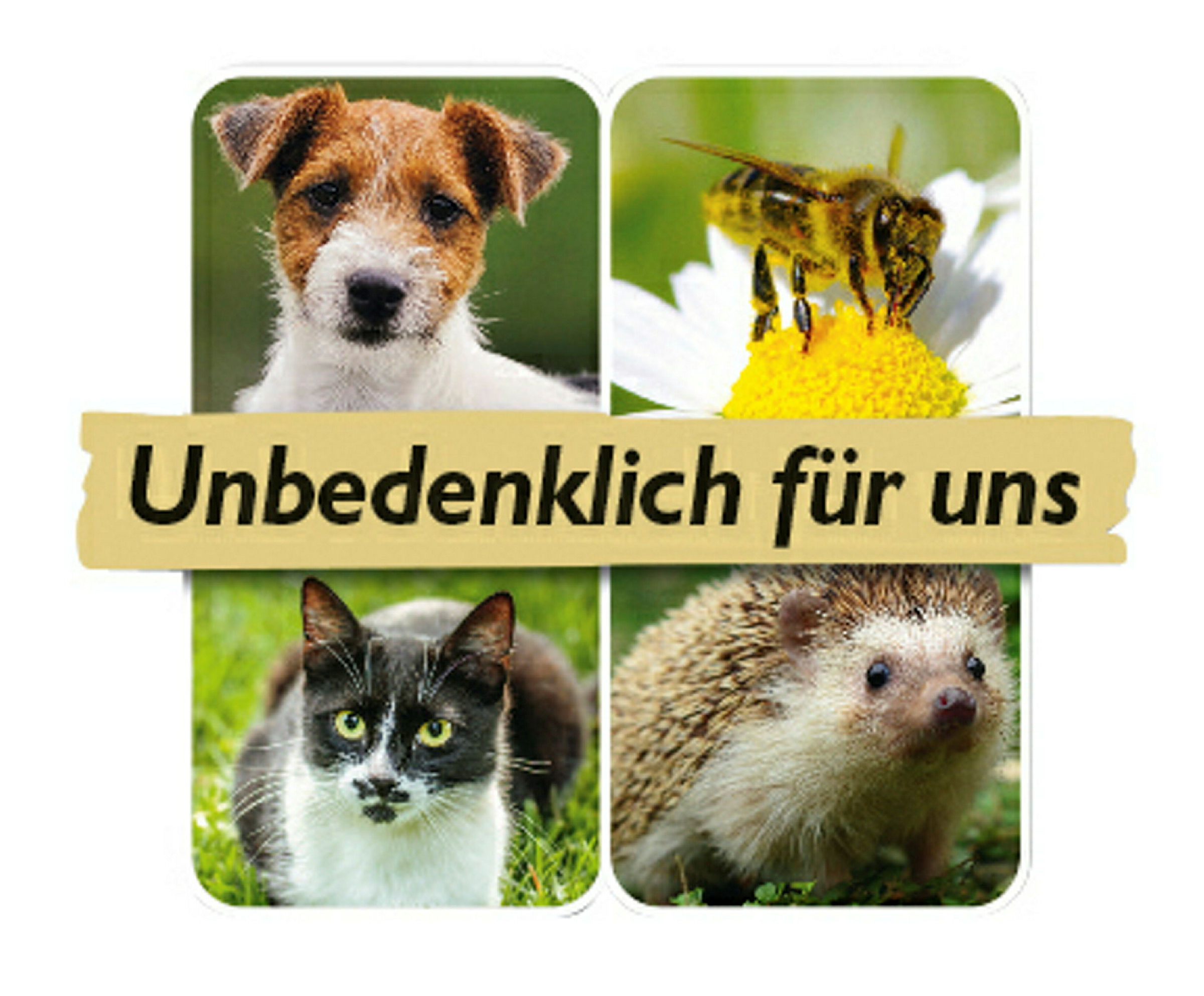Neudorff Azet HerbstRasen Dünger 20 kg