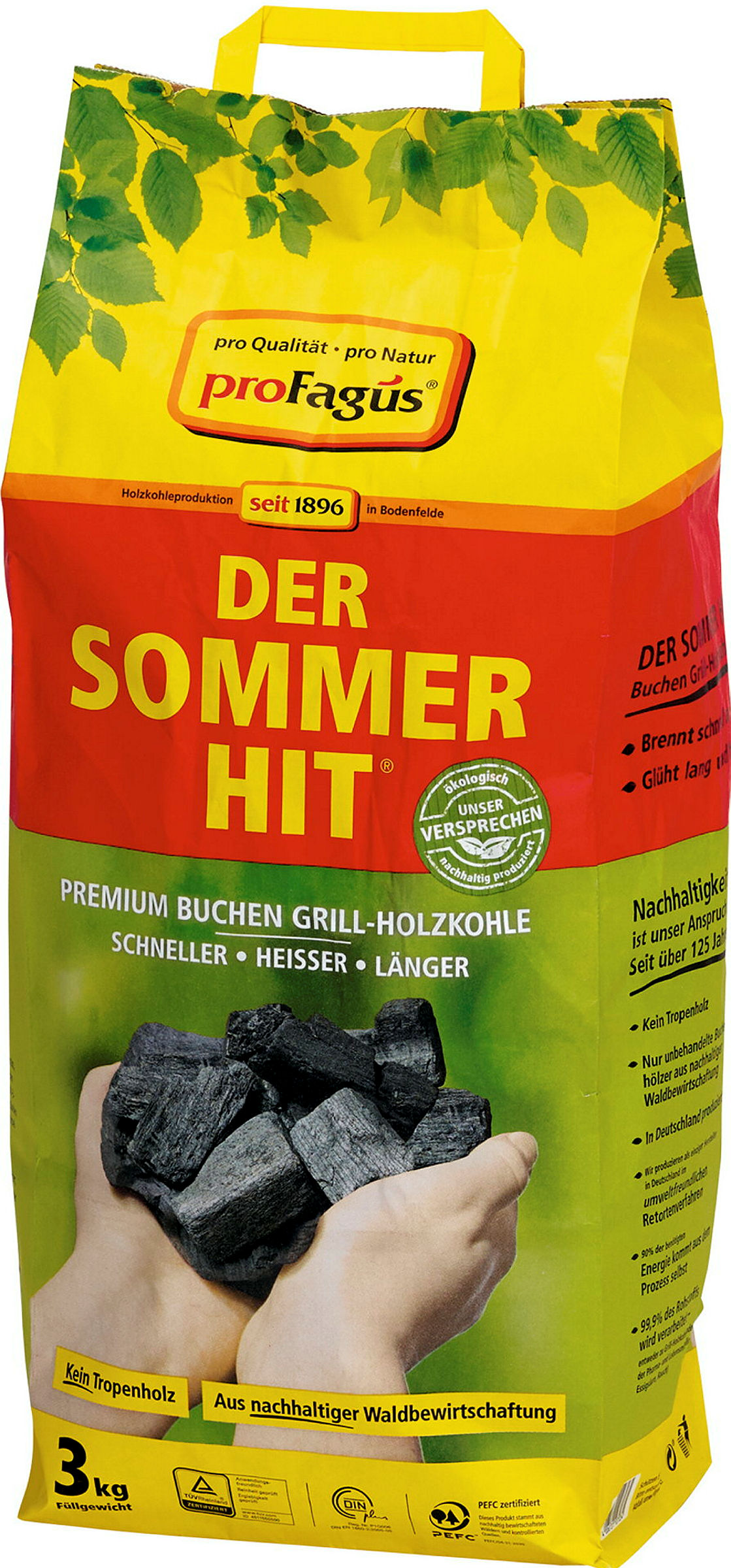Holzkohle Sommerhit 3 kg