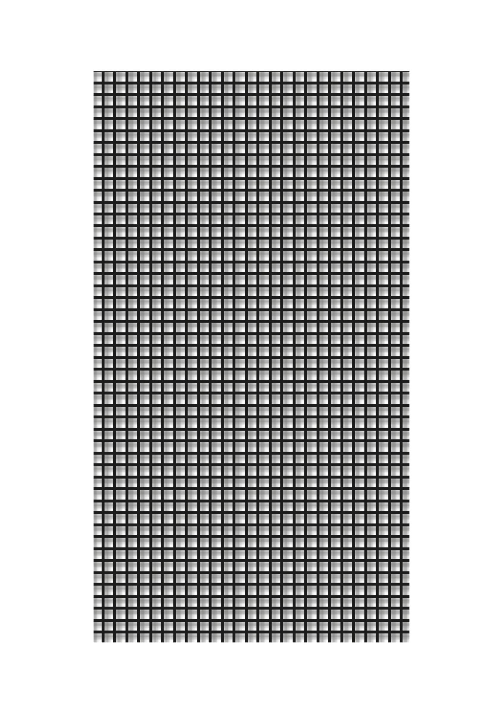 Schellenberg Fliegengitter, 130 x 230 cm, anthrazit