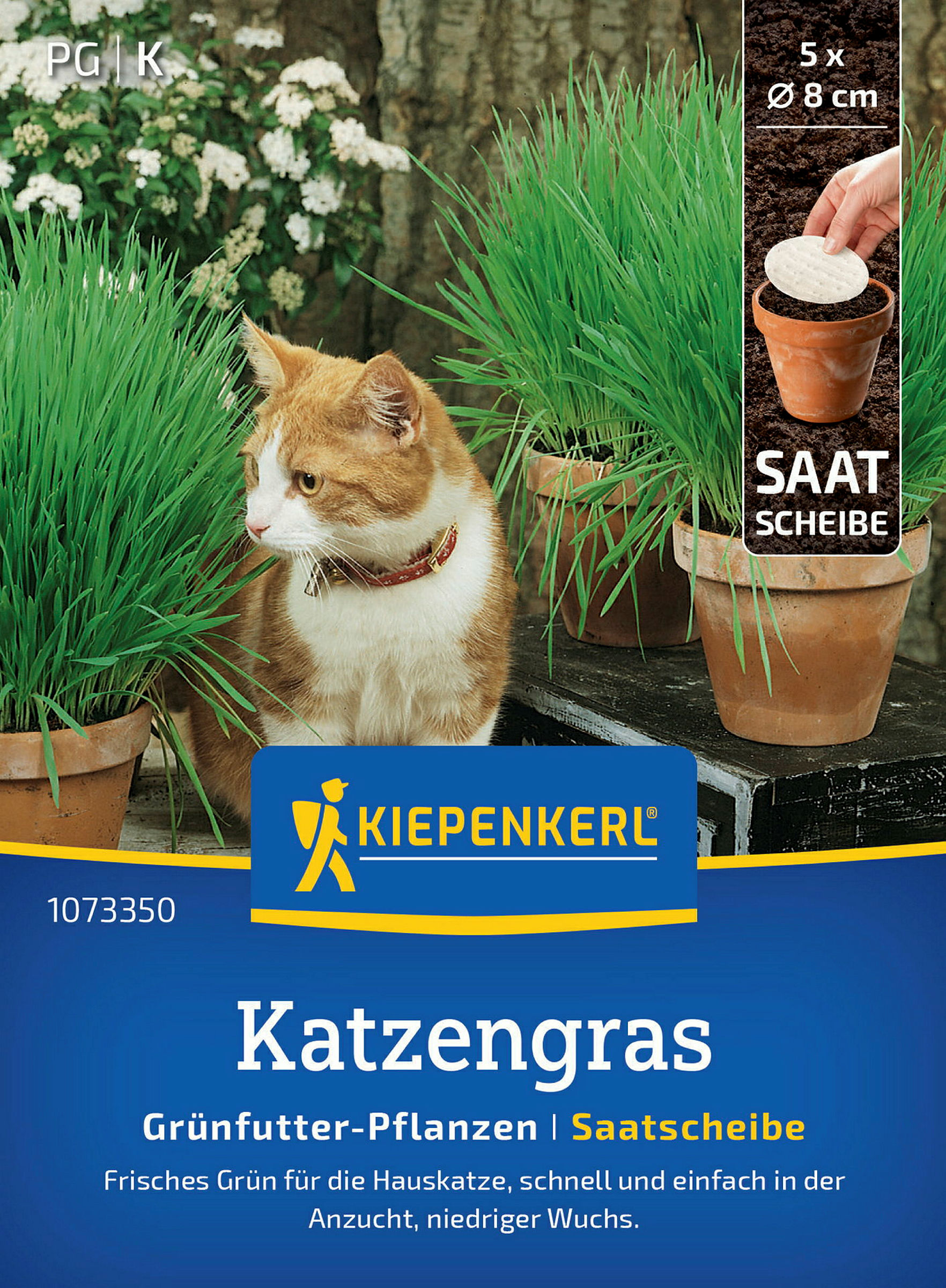 Kiepenkerl Katzengras Frischgrün Mischung, Saatscheibe