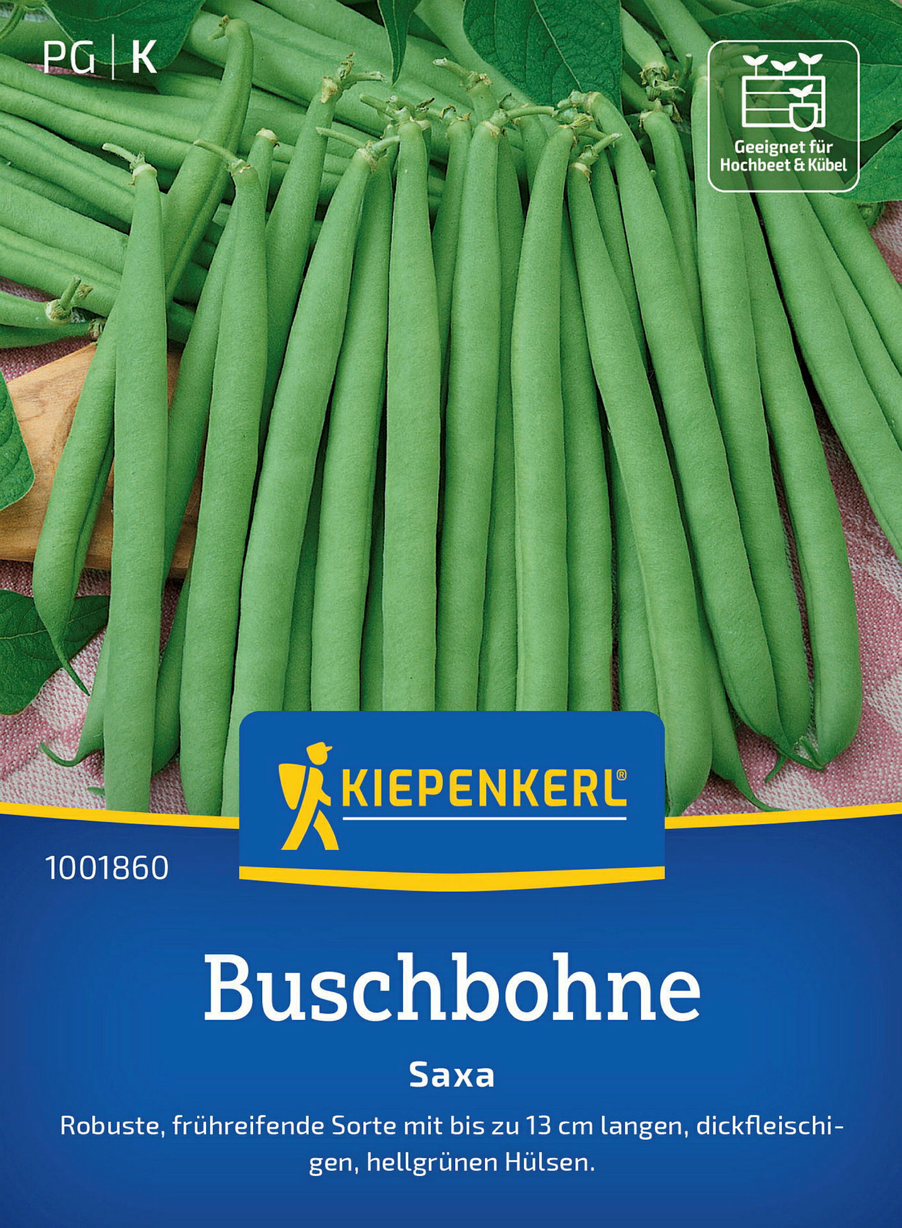 Kiepenkerl Buschbohne Saxa