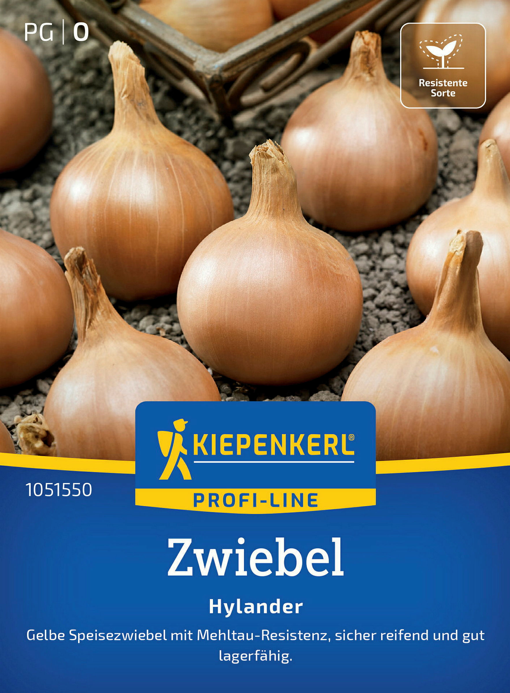 Kiepenkerl Zwiebel Hylander, F1