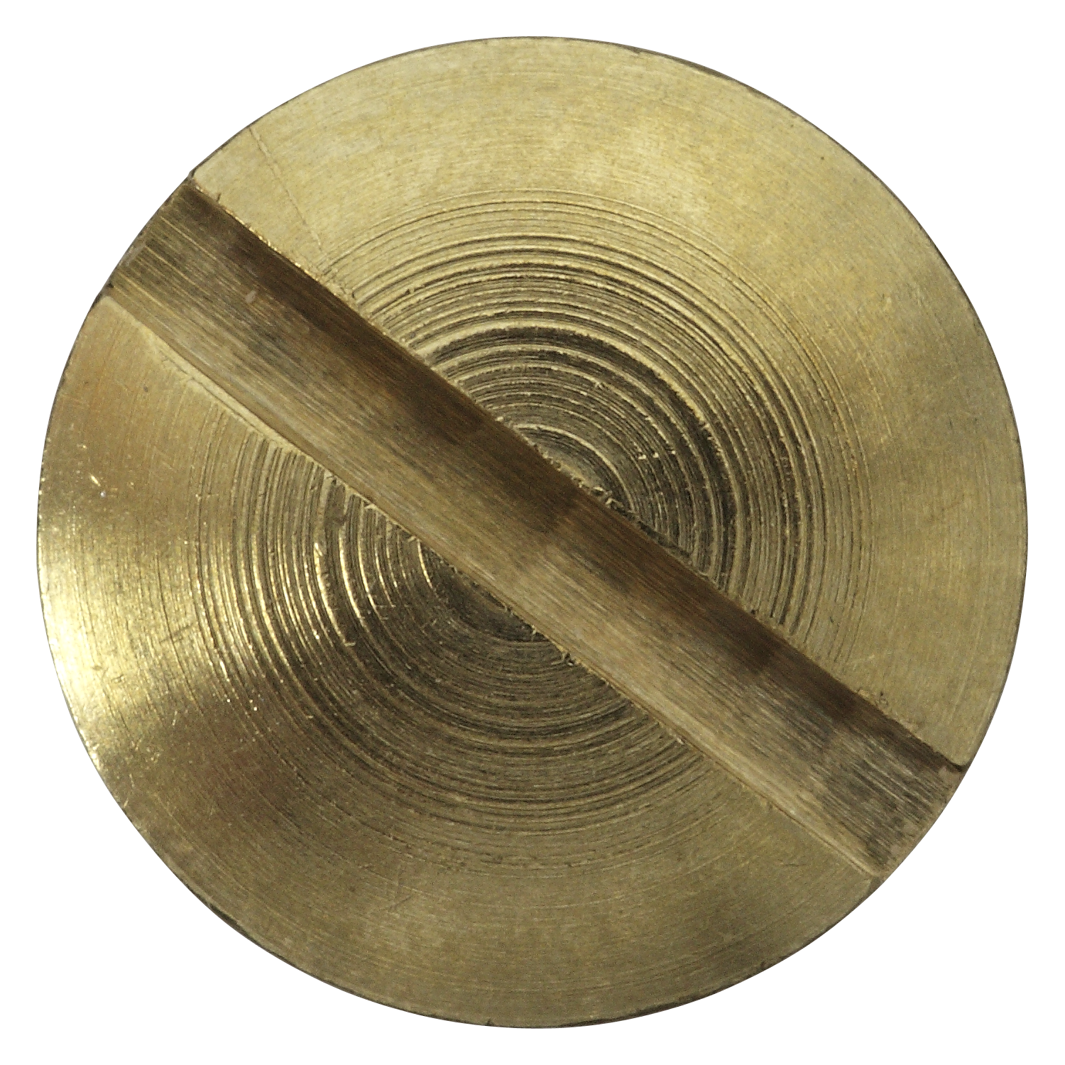Hülsenmutter M5 x 14, MS blank