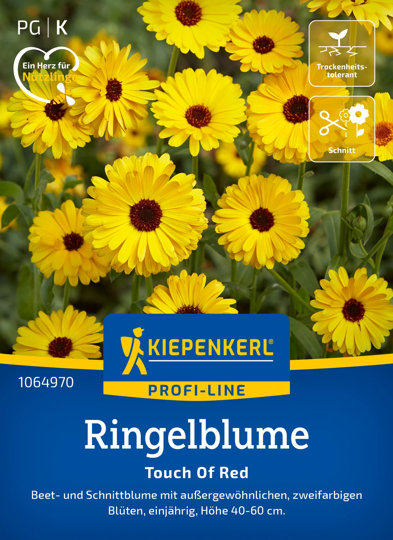 Kiepenkerl Ringelblume Touch Of Red