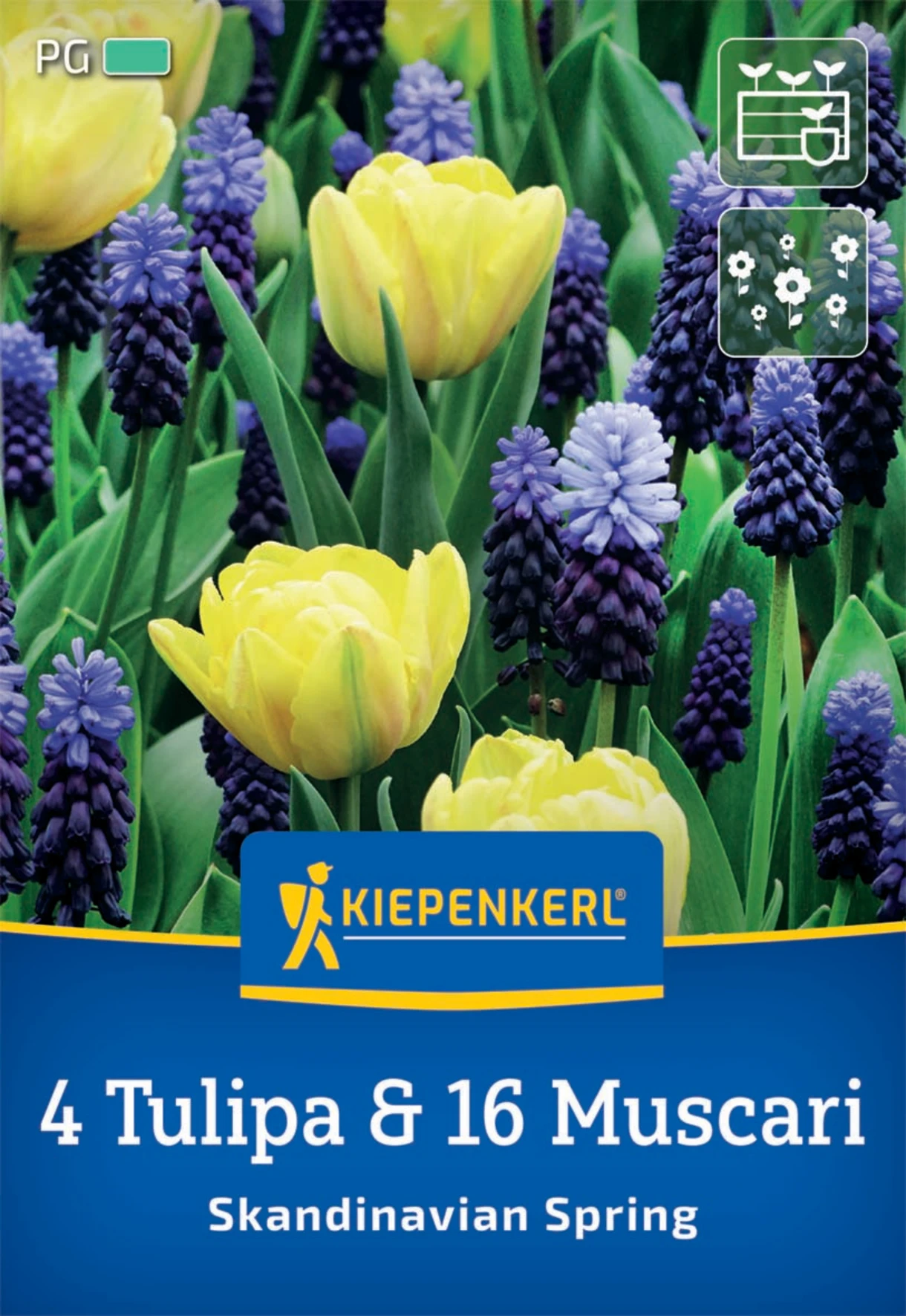 Blumenzwiebelmischung Skandinavian Spring
