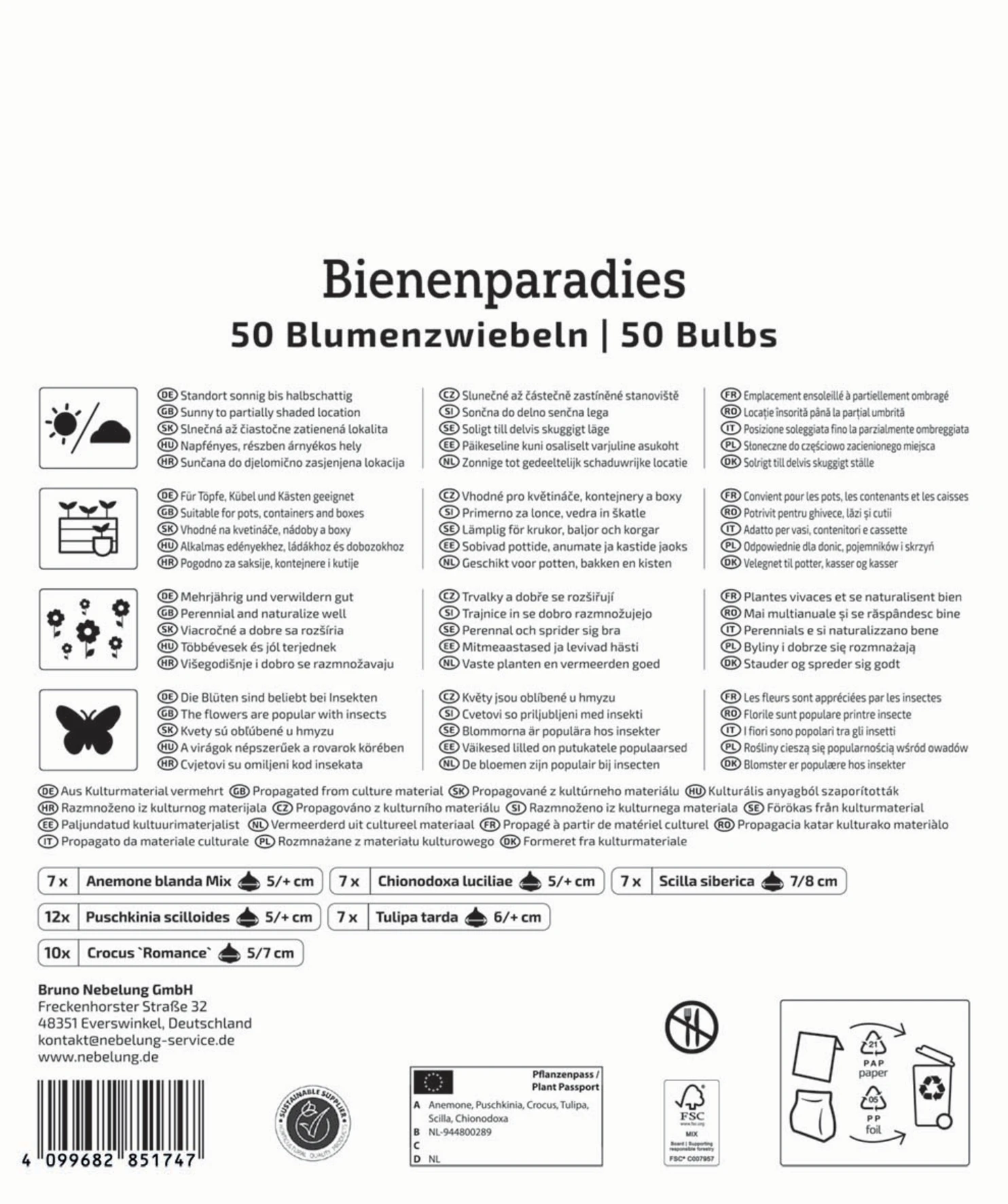 Mega-Pack Blumenzwiebelmischung Bienenparadies