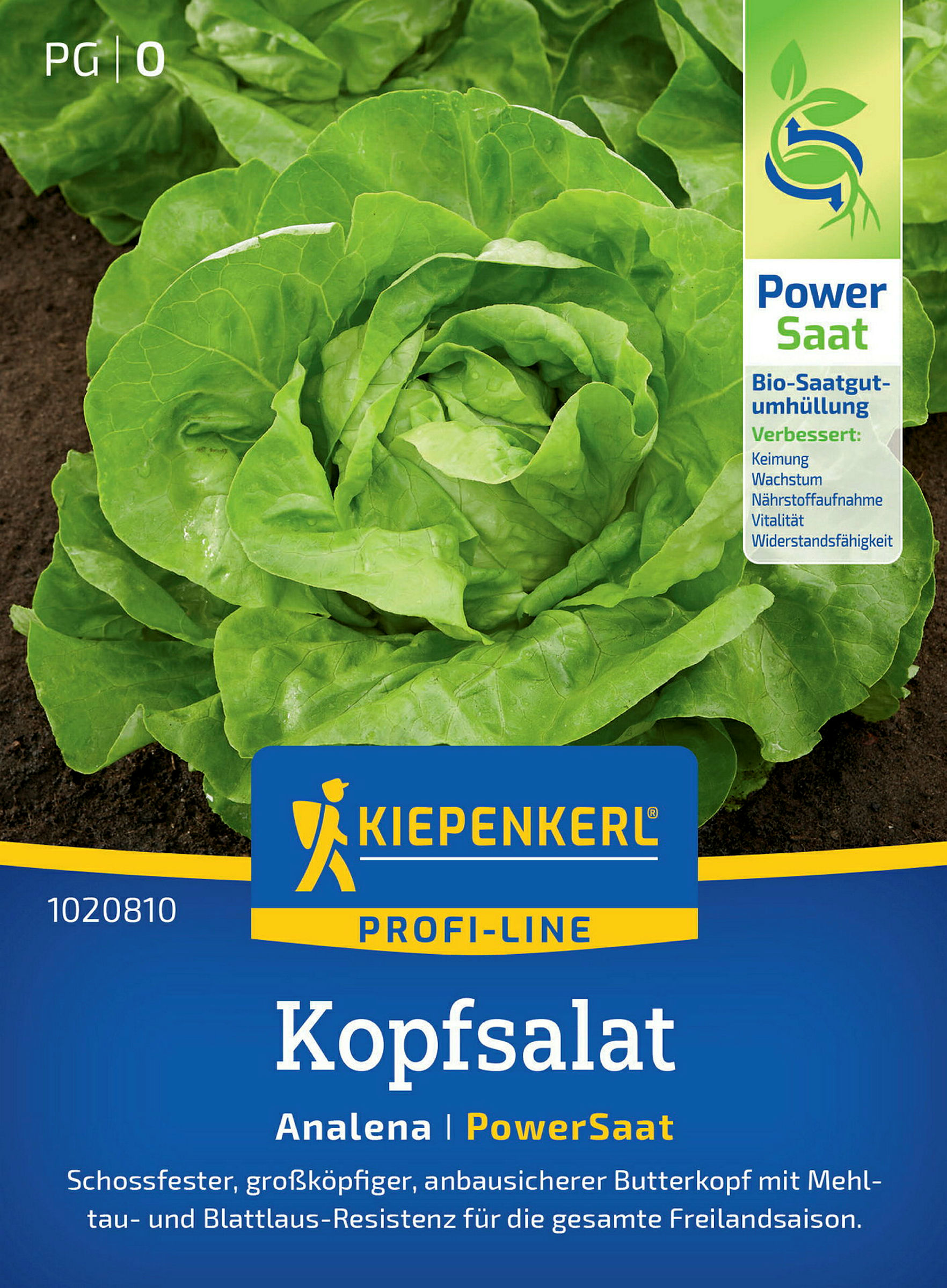 Kiepenkerl Kopfsalat Analena, PowerSaat
