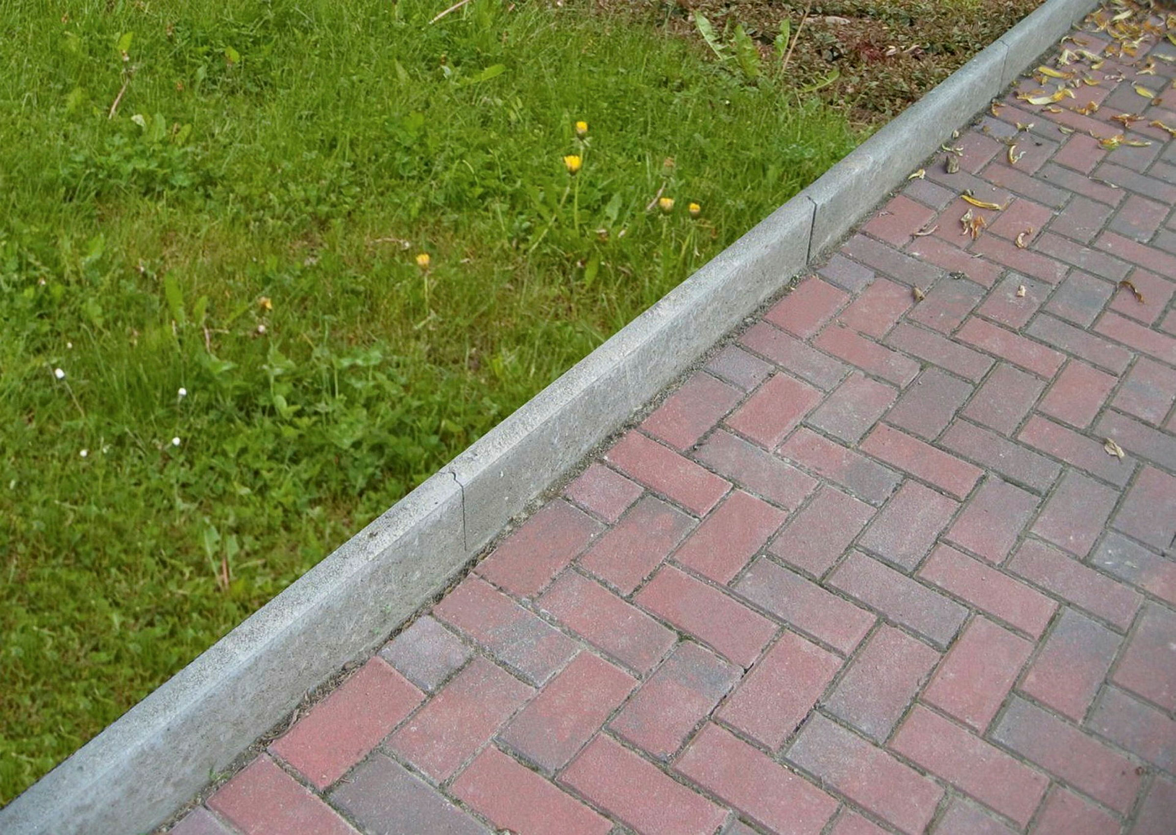 Rasenkante 5 / 25 / 100 cm mit Nut und Feder grau