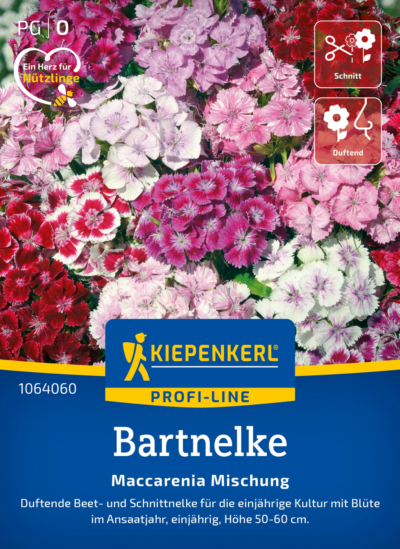 Kiepenkerl Bartnelke Maccarenia Mischung