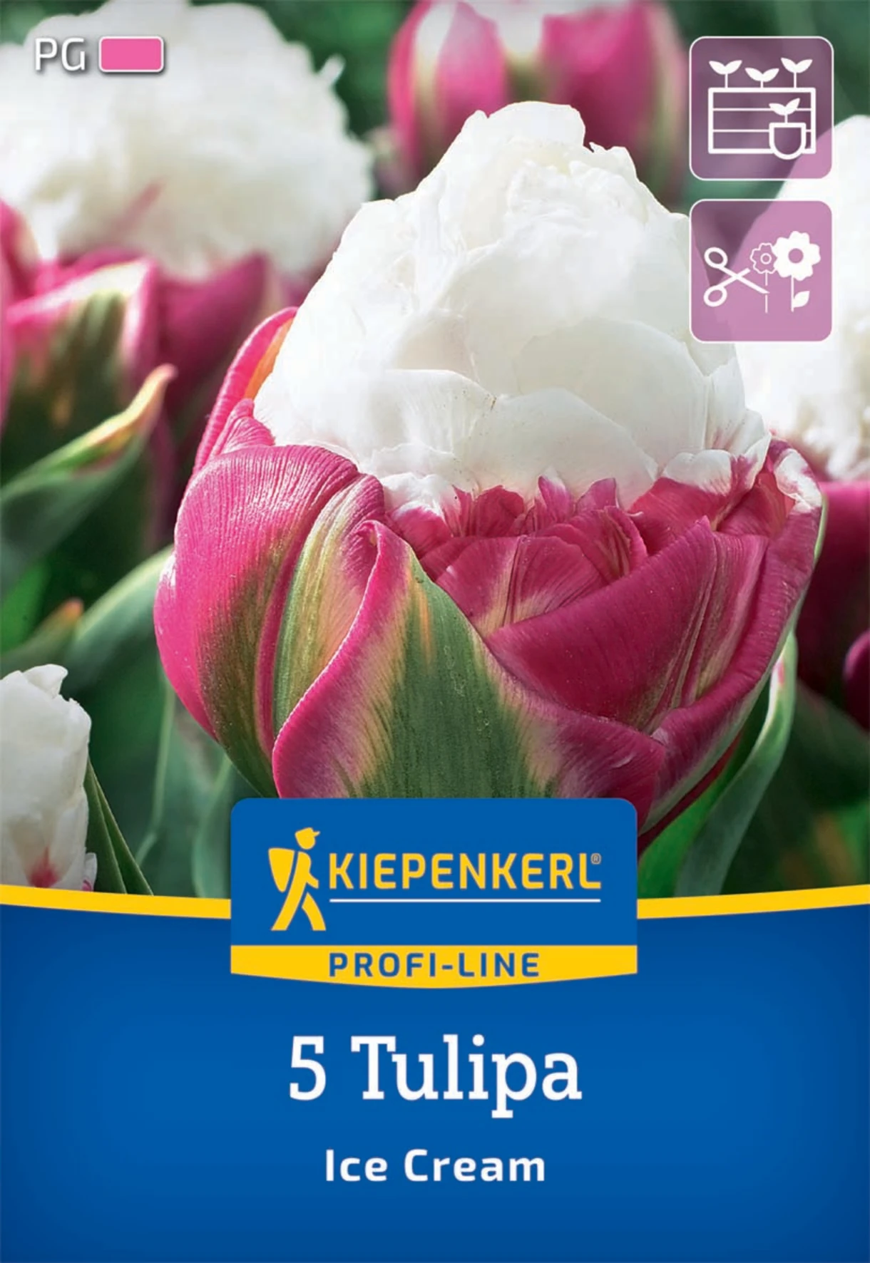 Gefüllte Späte Tulpe Ice Cream