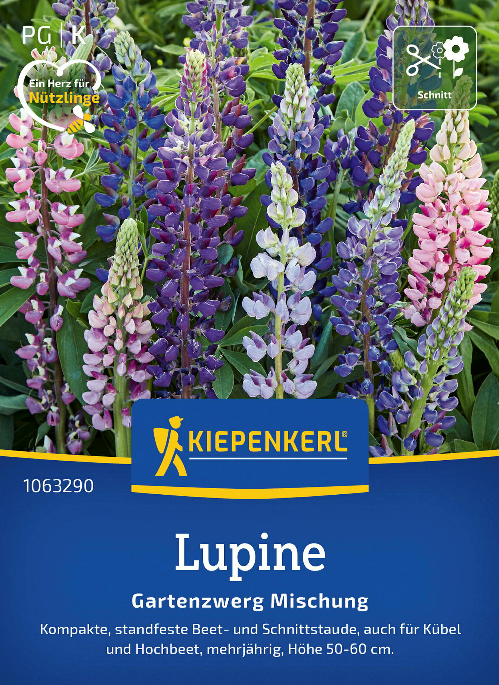 Kiepenkerl Lupine Gartenzwerg Mischung