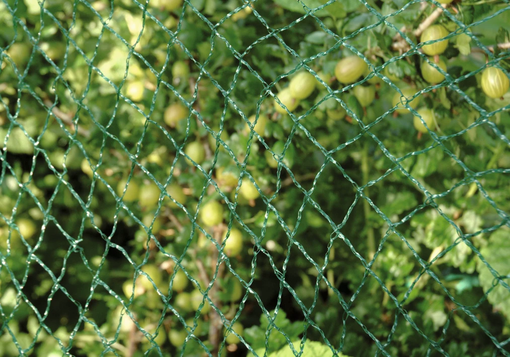 Vogelschutznetz Comfort, Maße: 5 x 4 m, MW: 2,5 x 2,5 cm, HDPE, grün
