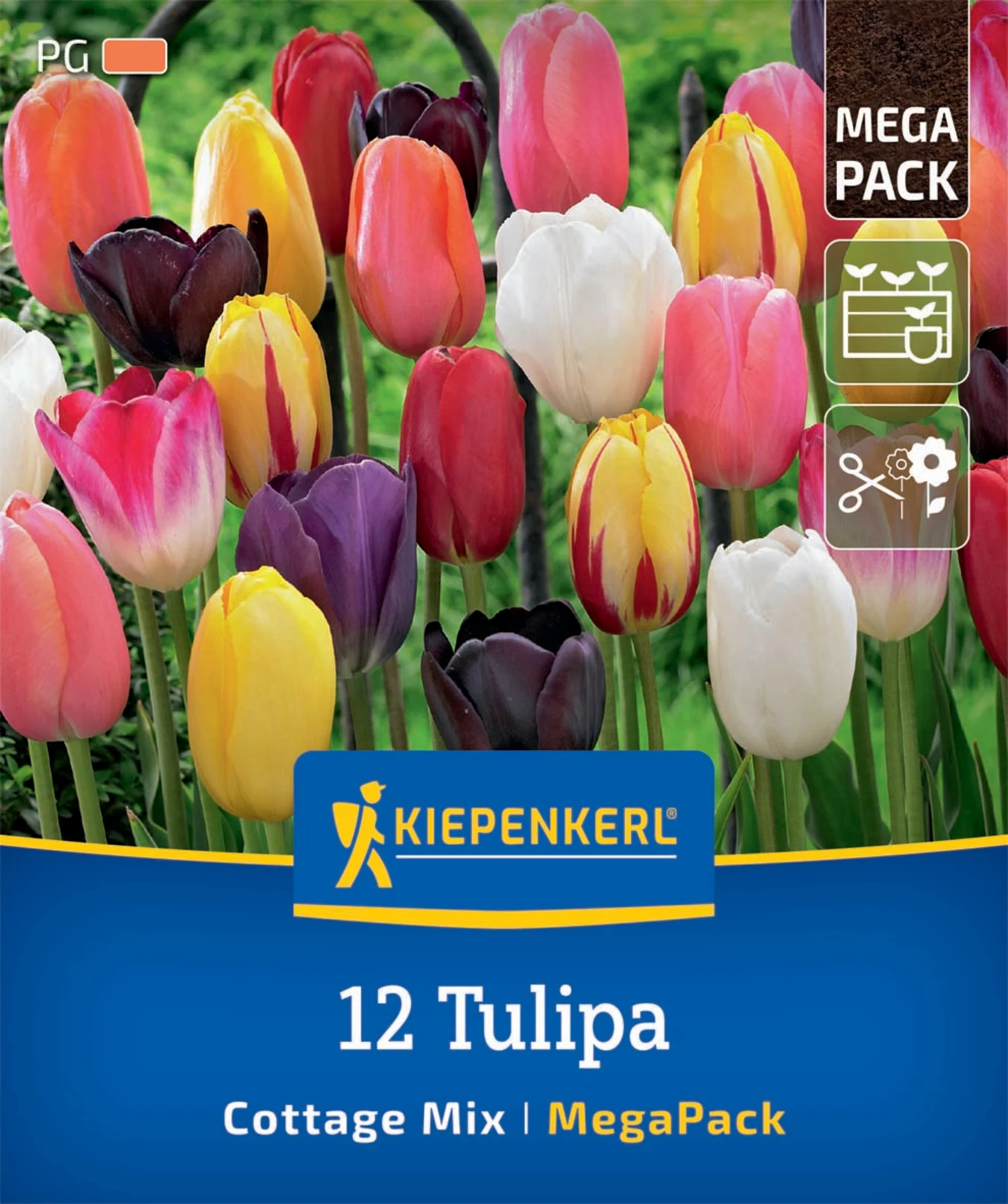 Mega-Pack Tulpenmischung Cottage Garden