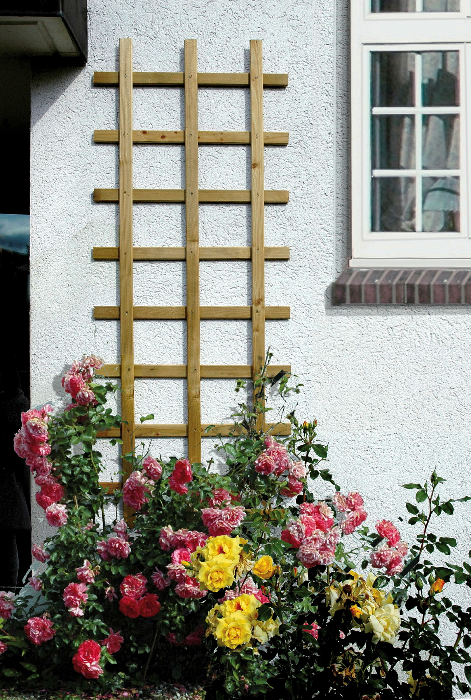 Odense Spalier Rechteck