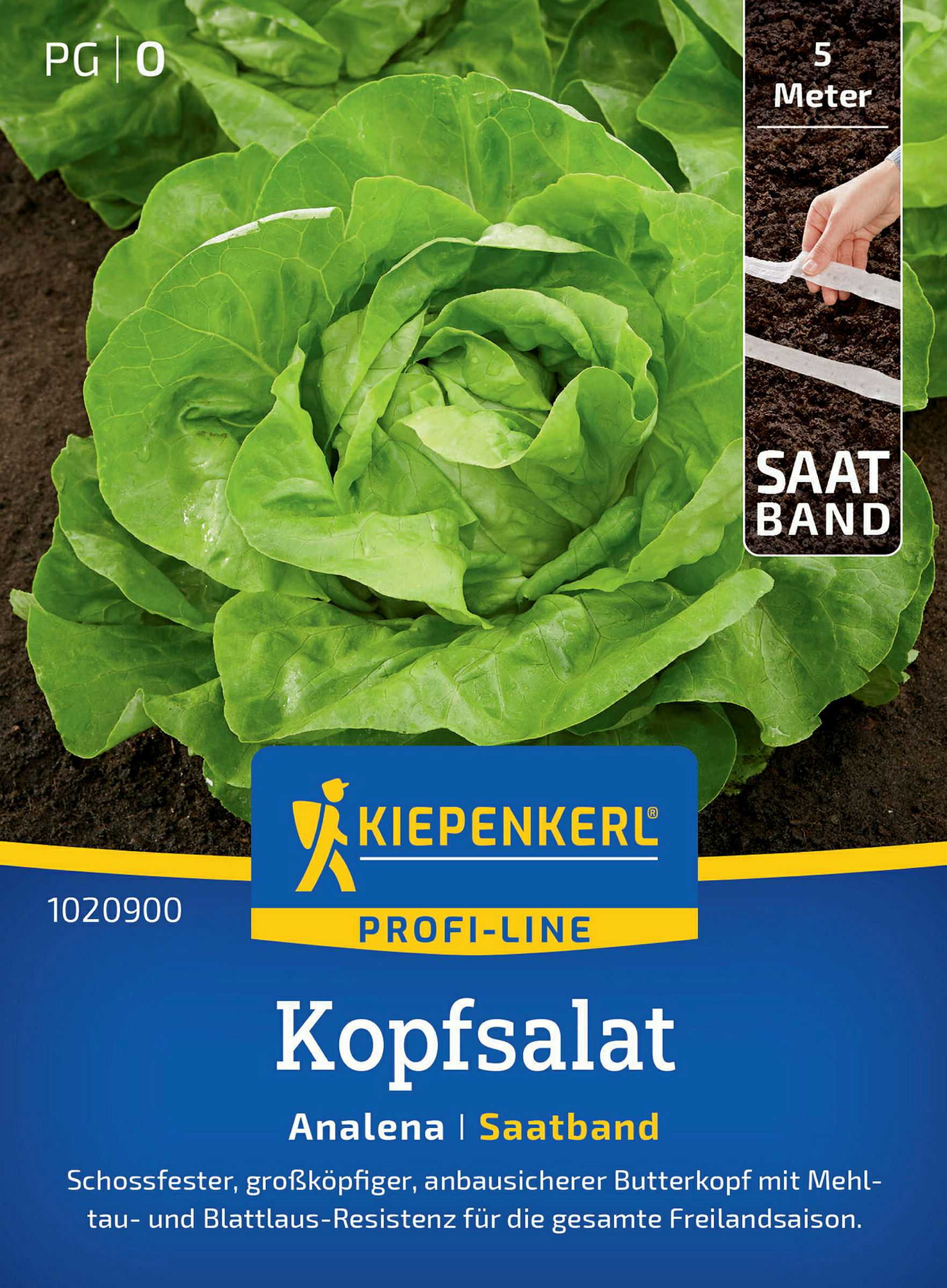 Kiepenkerl Kopfsalat Analena, Saatband