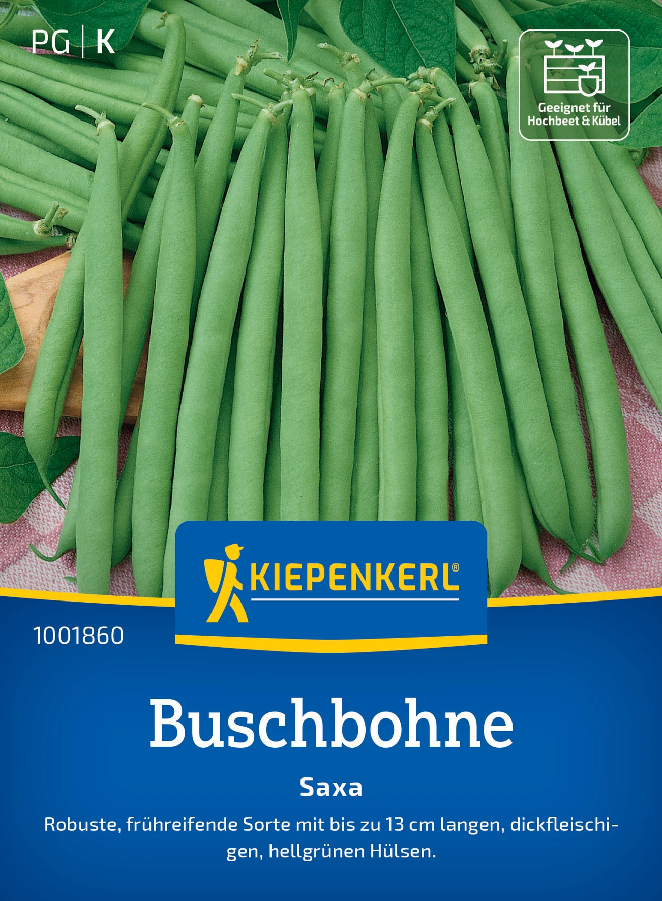 Kiepenkerl Buschbohne Saxa