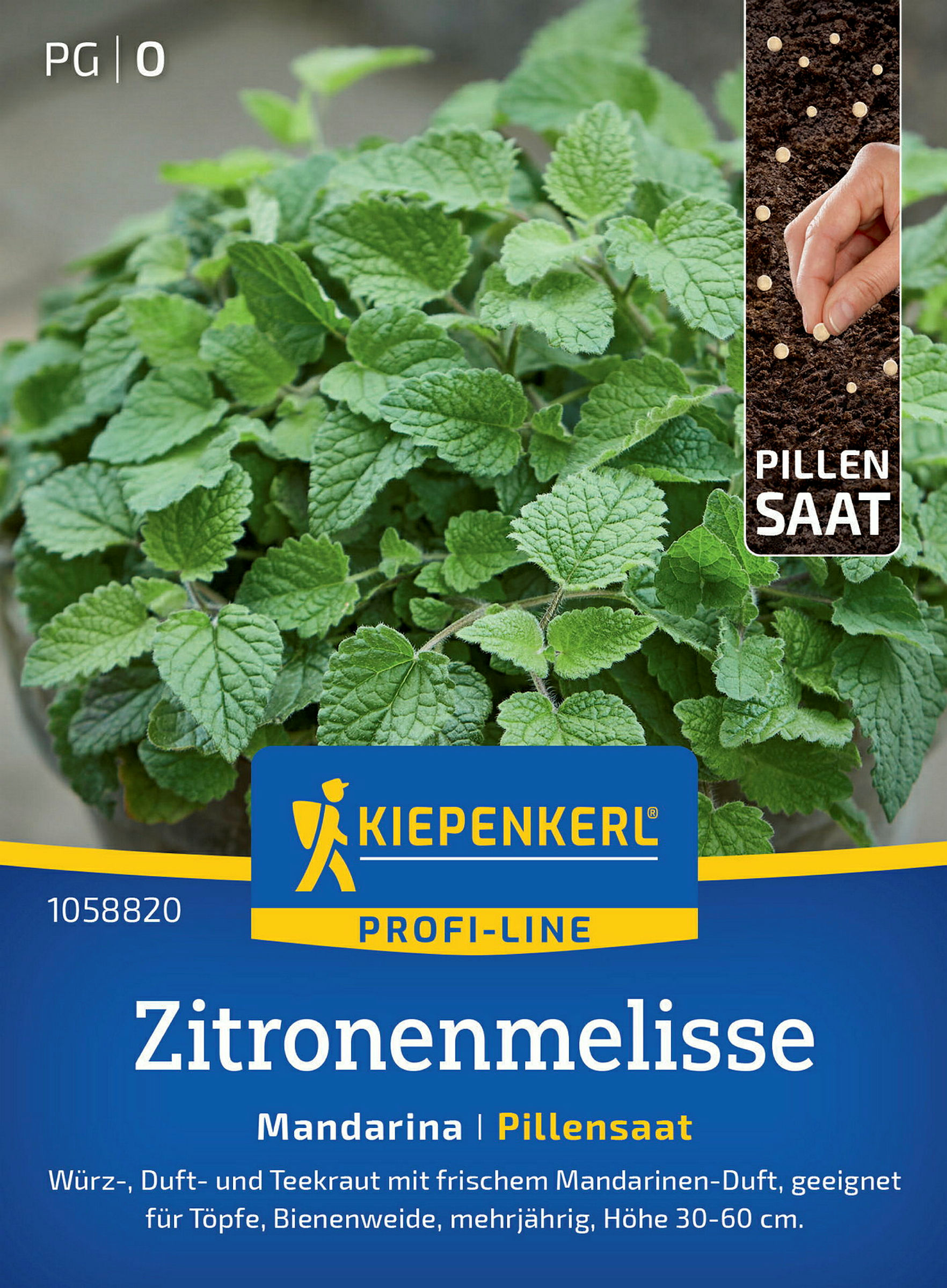 Kiepenkerl Zitronenmelisse Mandarina, Pillensaat
