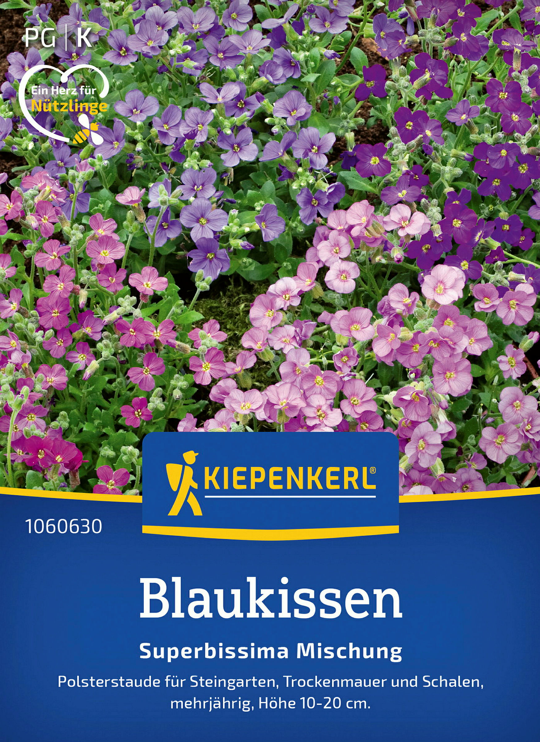 Kiepenkerl Blaukissen Superbissima Mischung